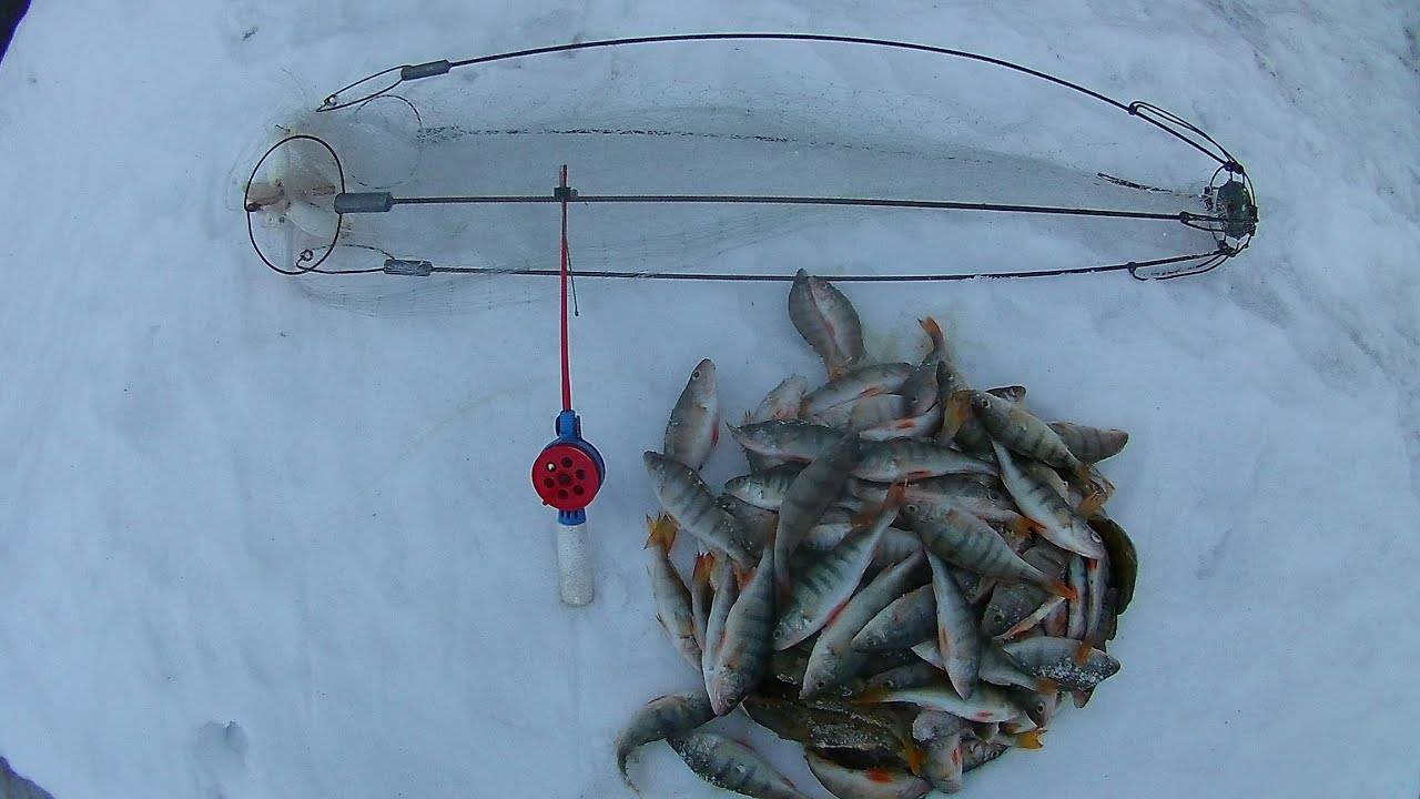 Где Купить Хапугу Для Зимней Рыбалки