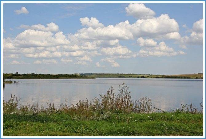 Платная рыбалка в белгородской области: рыболовные бызы, водоемы и туры белгородской области