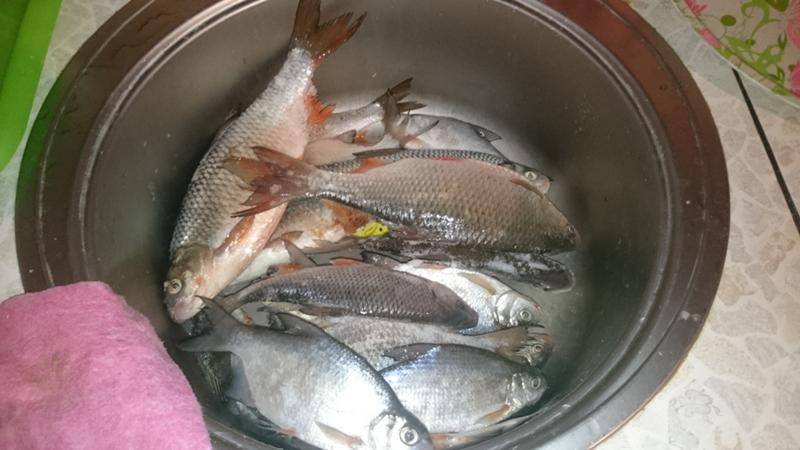 Как вкусно сварить уху из речной и красной рыбы