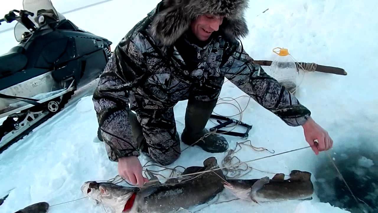 Рыбалка на севере сибири: видео, особенности ловли зимой