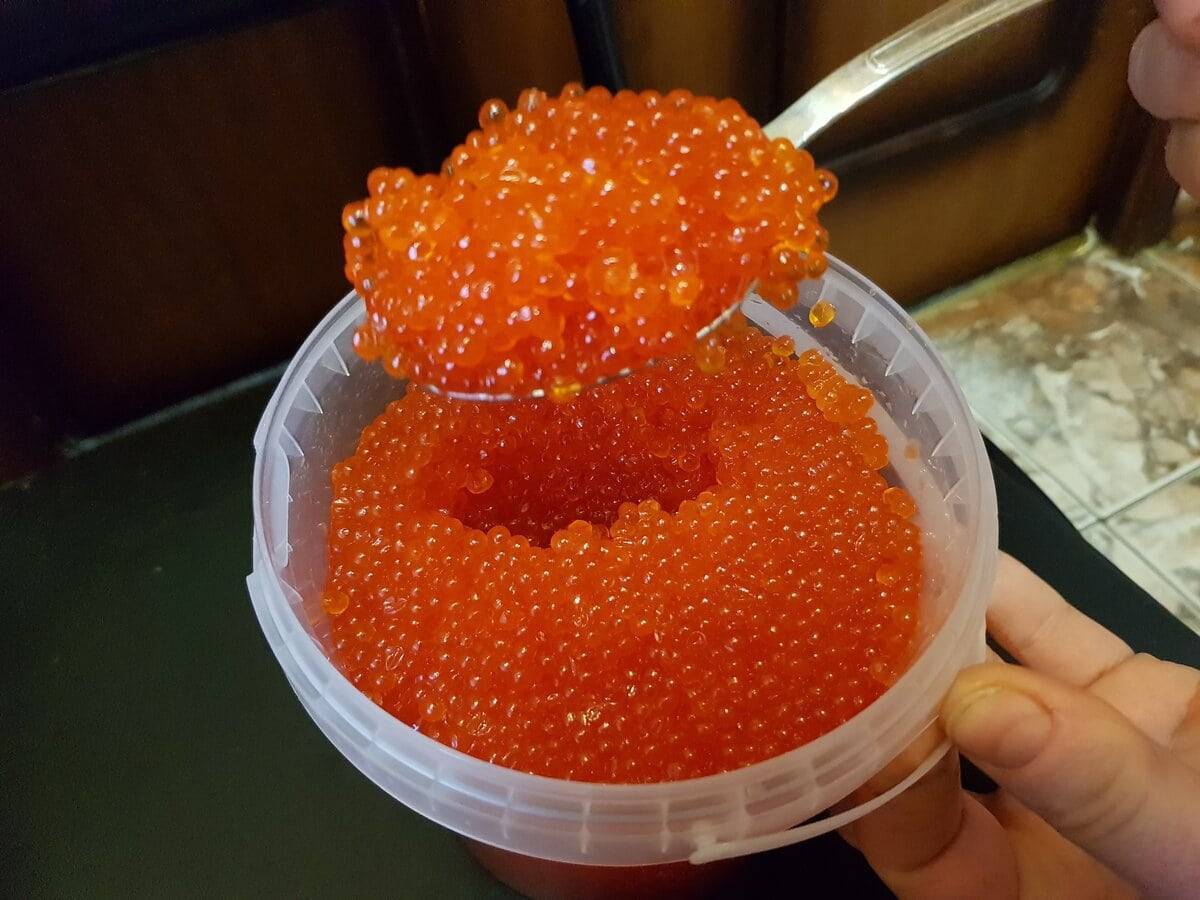 Из какой рыбы черная икра?
