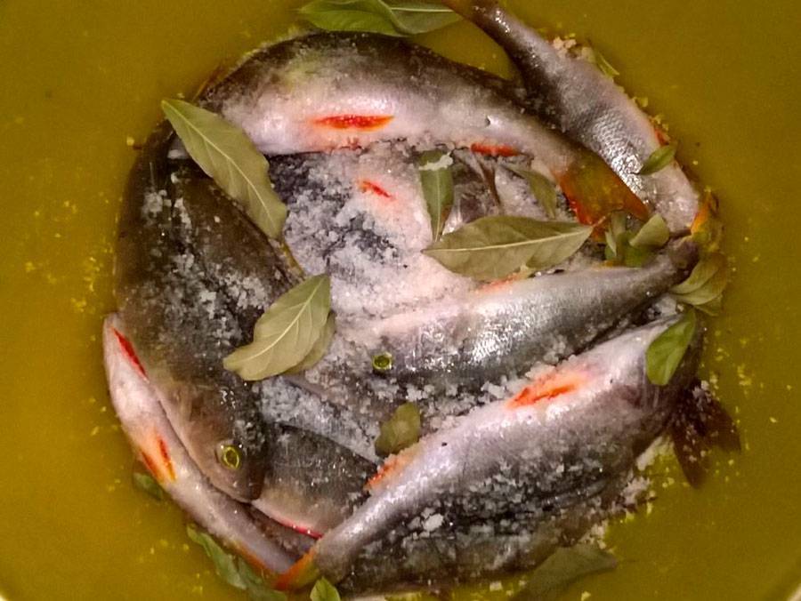 Способы вымачивания соленой рыбы - лучшие рецепты от gemrestoran.ru