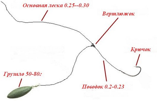 Ловля голавля на майского жука: снасть, наживка и техника
