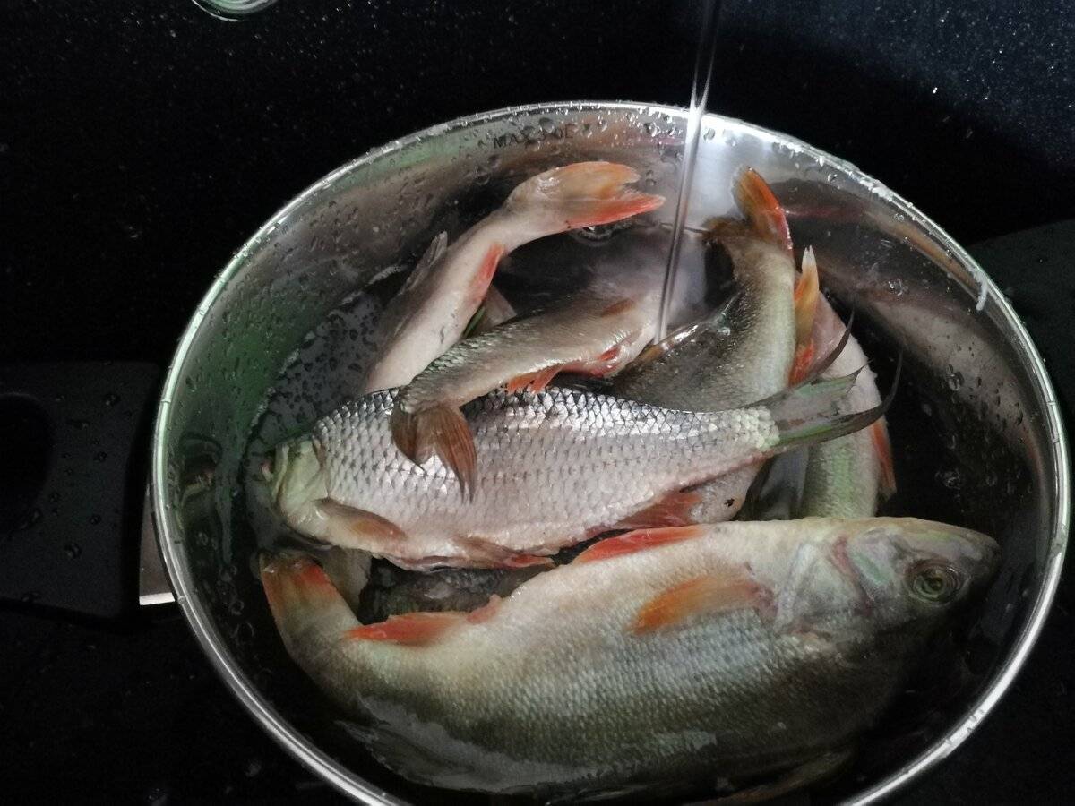 Сушеная рыба — как солить и сушить рыбу