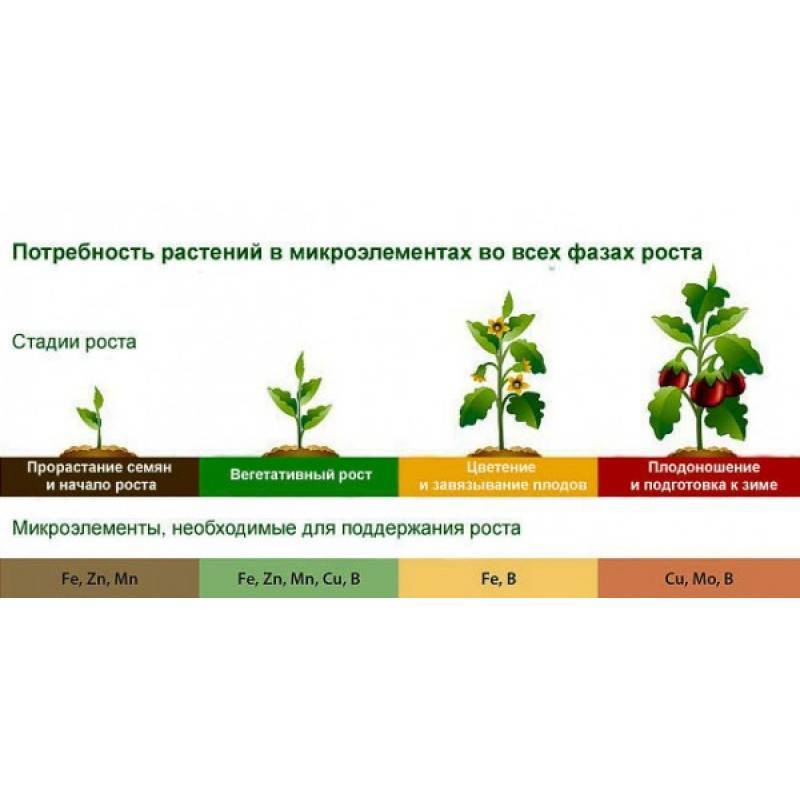 Какие микроэлементы нужны растениям