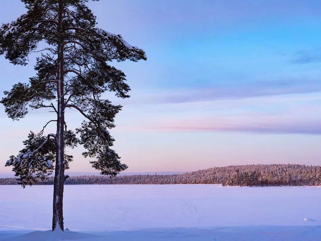 Калевала озеро куйто