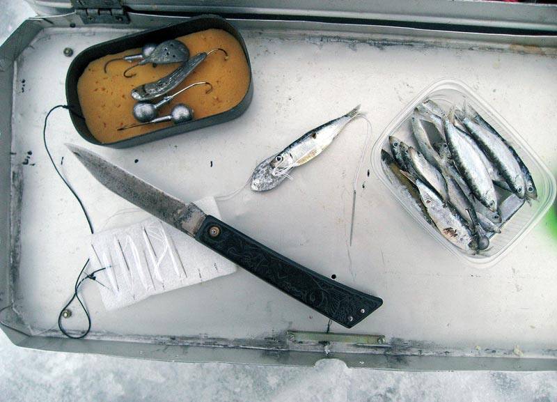 Ловля судака зимой на тюльку: техника и способы