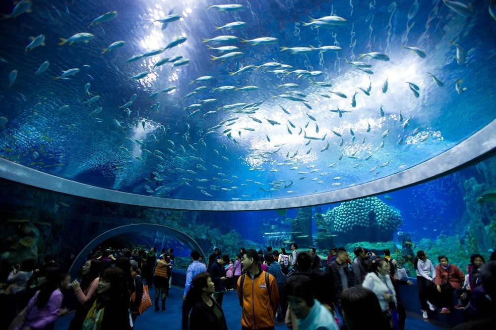 Georgia aquarium – так называется самый большой аквариум мира