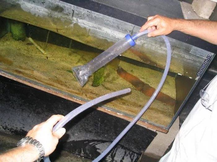 Как отмыть аквариум от известкового налета? только действенные советы!