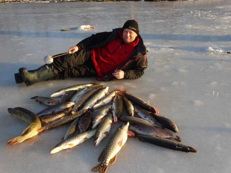 Бесплатная рыбалка в подмосковье, карты водоемов