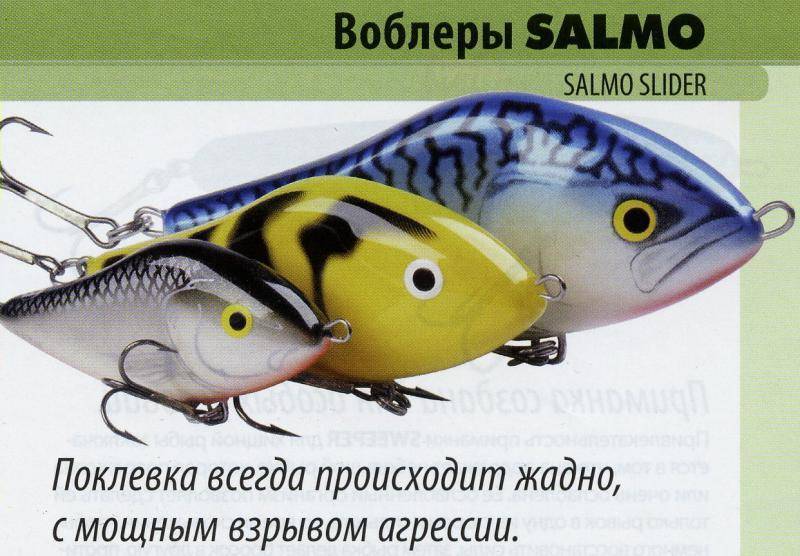 Воблеры салмо: описание и использование самых популярных моделей, каталог воблеров salmo hornet