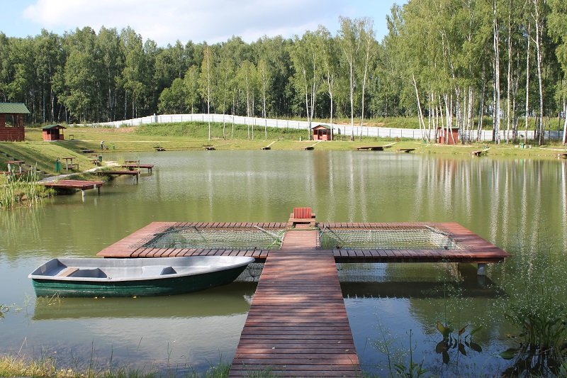 Рыбалка места отдыха. Рыбацкая усадьба Максимиха платная рыбалка. Пруд Максимиха. Максимиха платная рыбалка. Рыбалка Максимиха Домодедовский район.