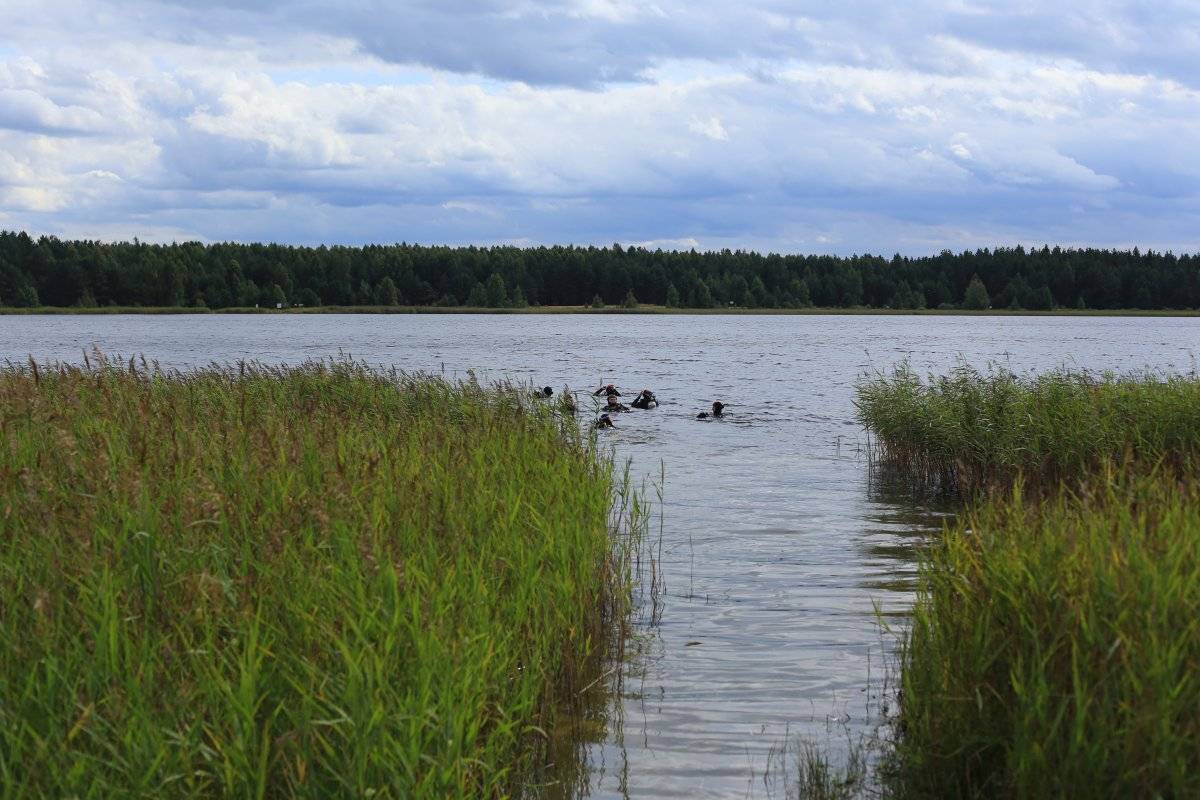 Белое озеро рязанская область, северное. где находится, санатории, отдых, рыбалка, дайвинг