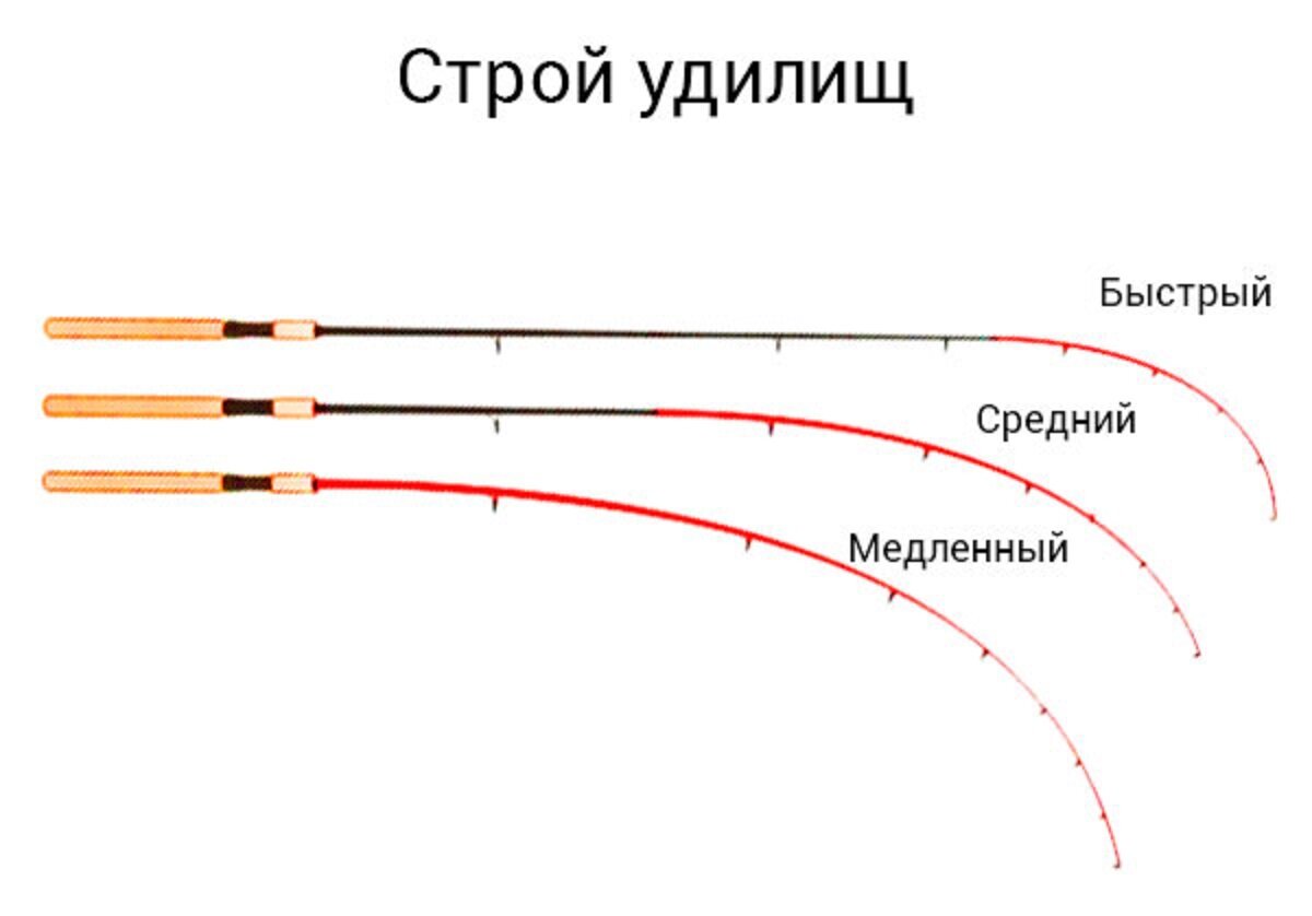 Строй спиннинга, как его определить и за что он отвечает?