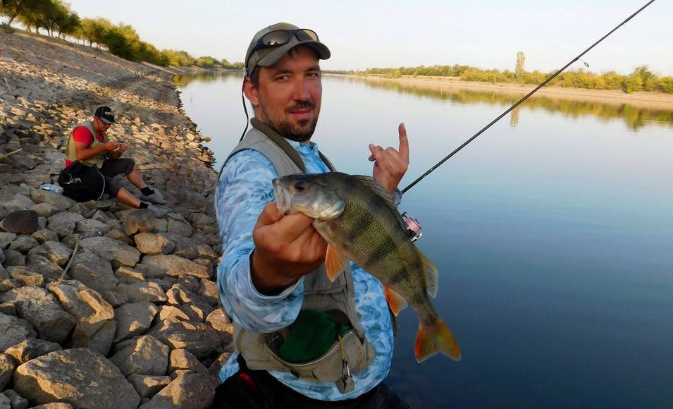 Рыбалка в волгоградской области