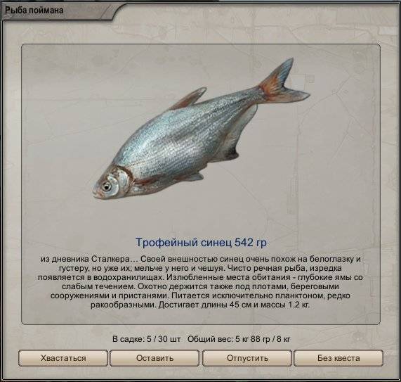 Рыба синец
