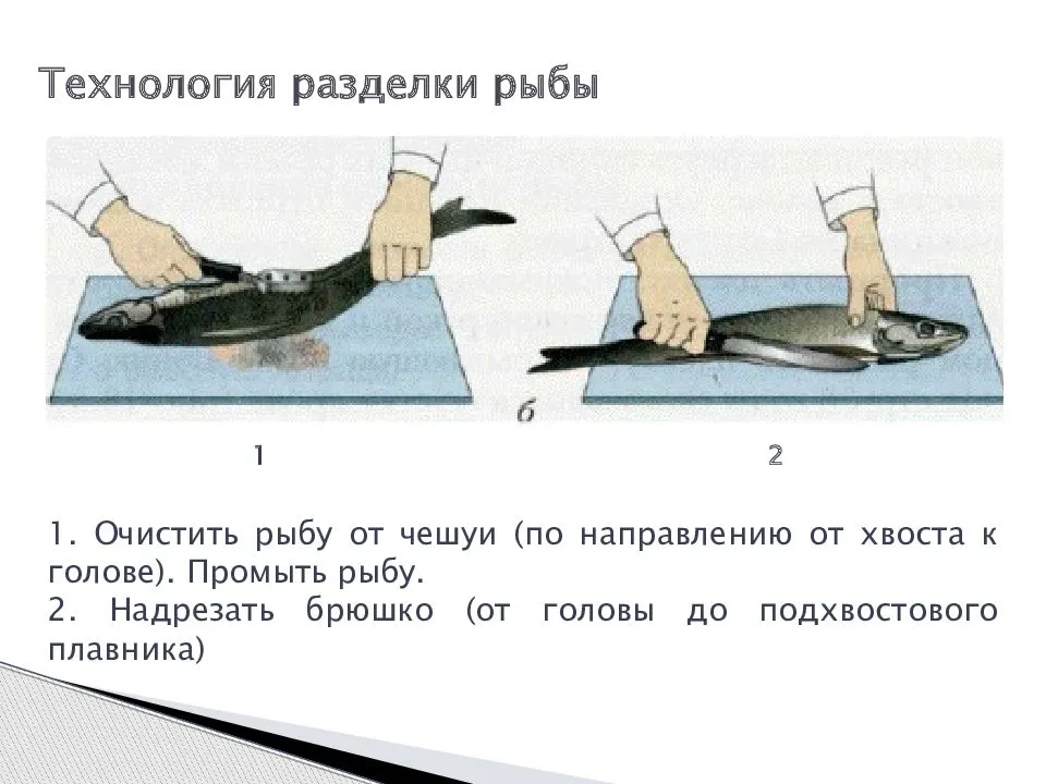 Технологическая схема разделки рыбы