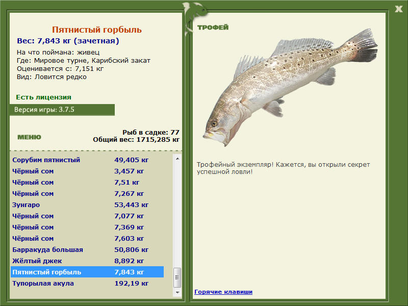 ???? полный список лососевых рыб: как выглядят и где обитают, фото