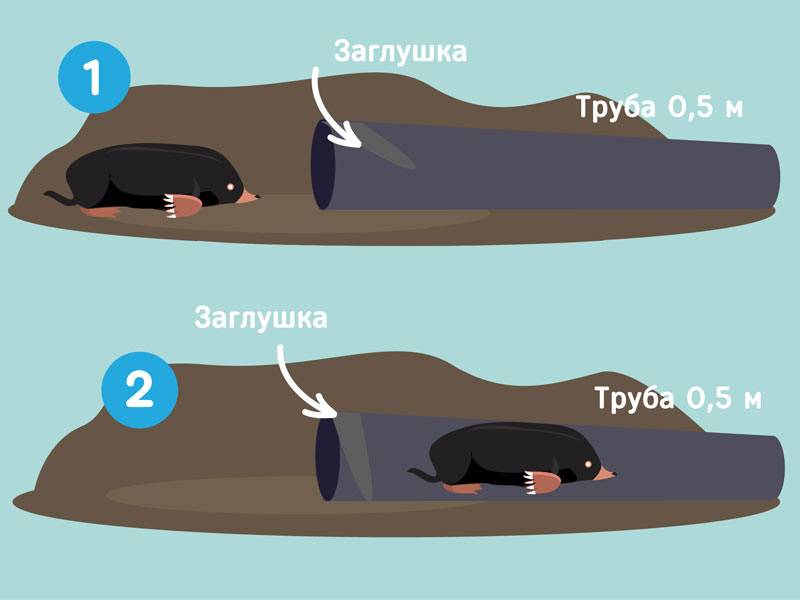 Самострел для слепыша своими руками чертежи