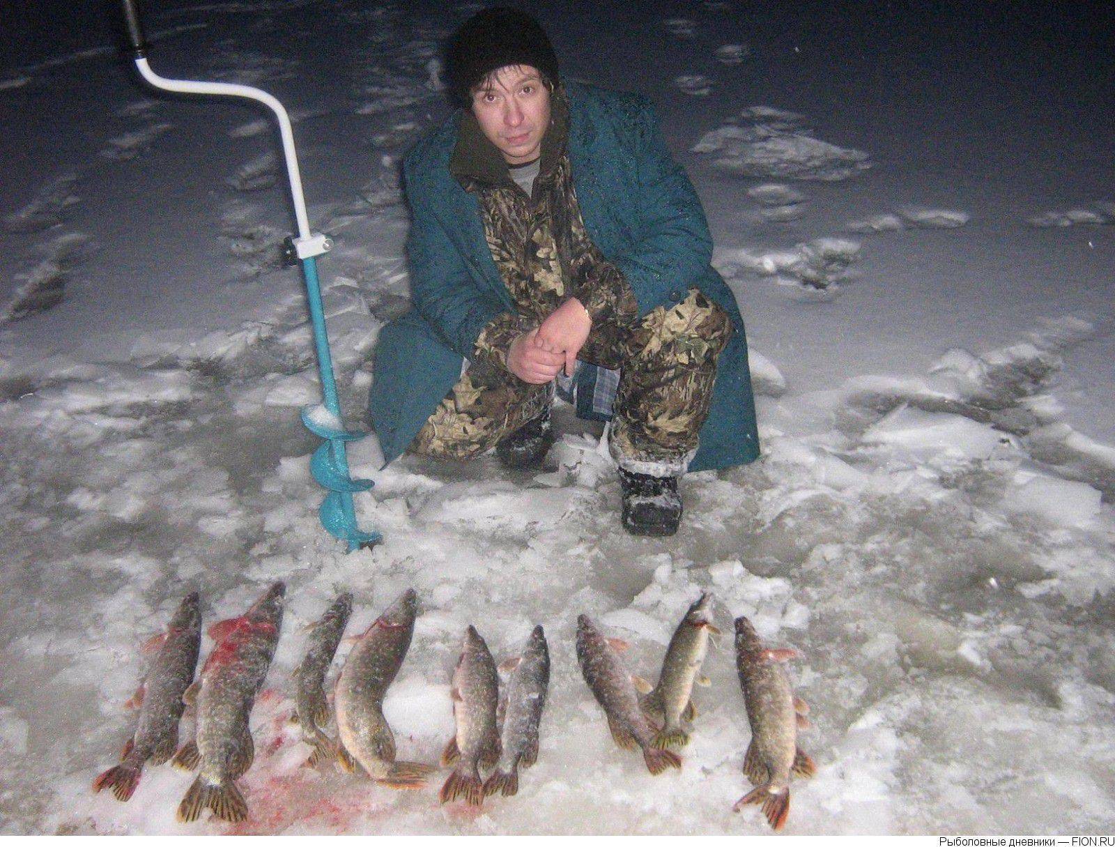 ✅ рыбалка на лопасне в чеховском районе - danafish.ru