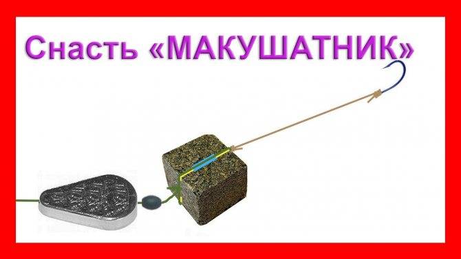 Жмых для рыбалки - описание, разновидности и способы ловли