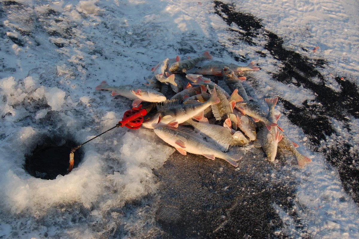 Зимняя рыбалка лунка
