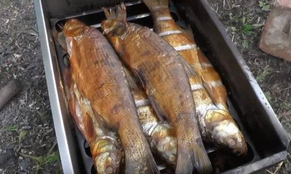 Как коптить рыбу: рецепты и способы приготовления копченой рыбы в домашних условиях