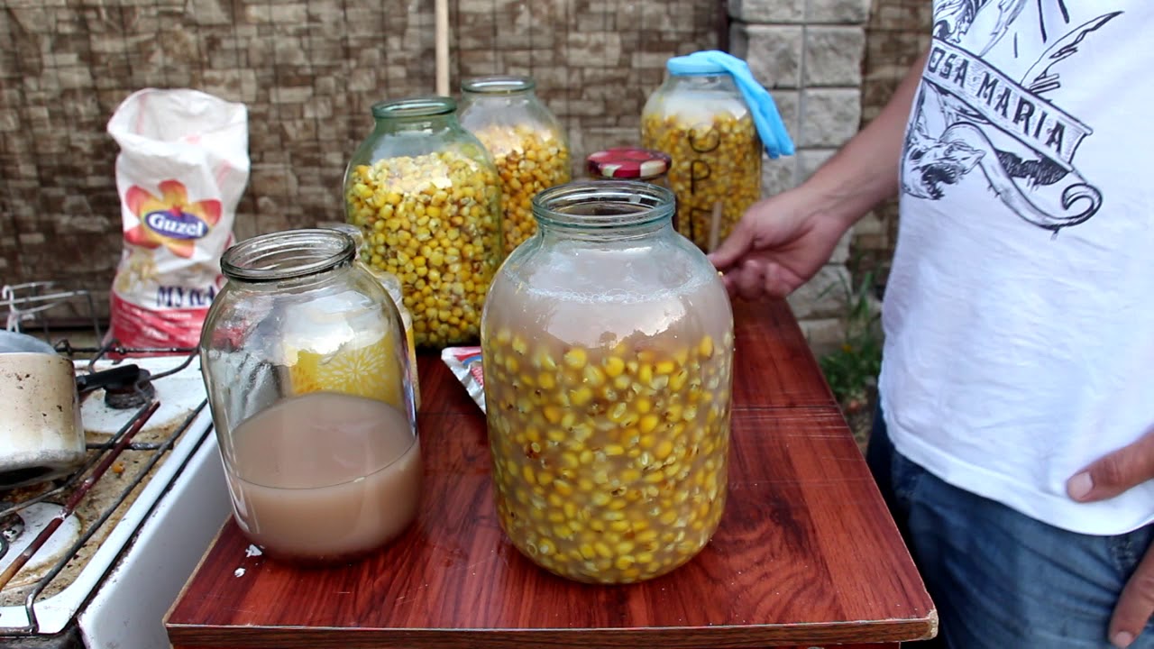 Ферментация кукурузы без варки + в домашних условиях, секреты, способы