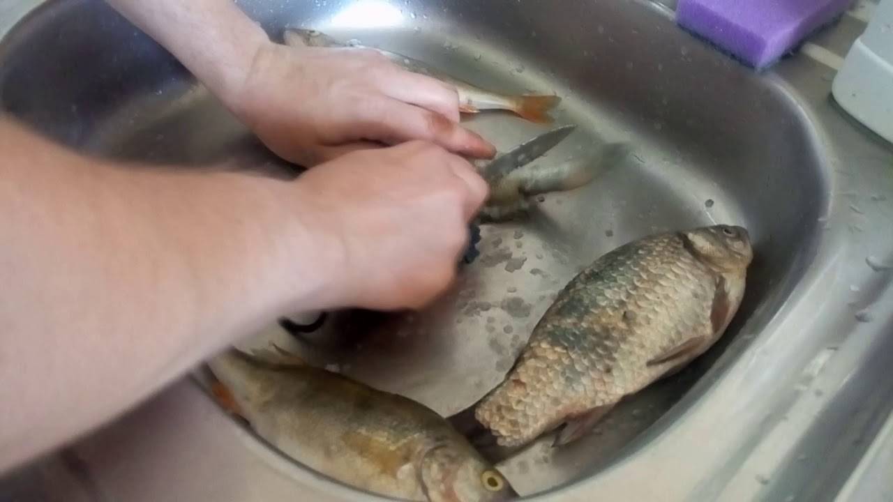 Как быстро почистить окуня от чешуи - 3 лучших способа от рыбколов!