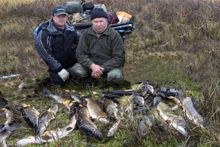 Погода щучье озеро. Щучье озеро Пермский край рыбалка. Озеро Щучье Свердловская область рыбалка. Рыбалка в Кыштовке. Озеро Щучье Новосибирская область.