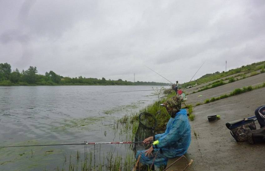 Рыбалка в нижегородской области: топ рейтинг уловистых мест