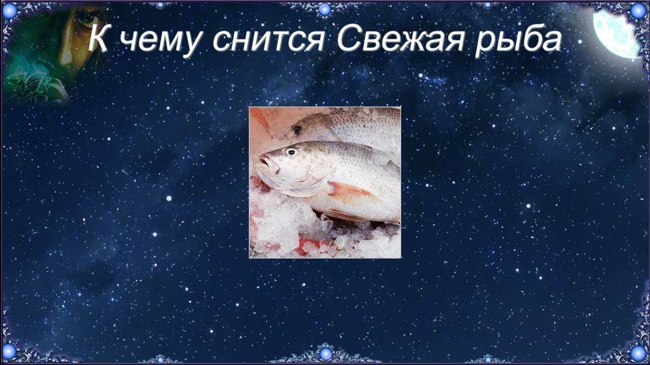 К чему снятся рыбки: толкование сна, его значение и выбор сонника - tolksnov.ru