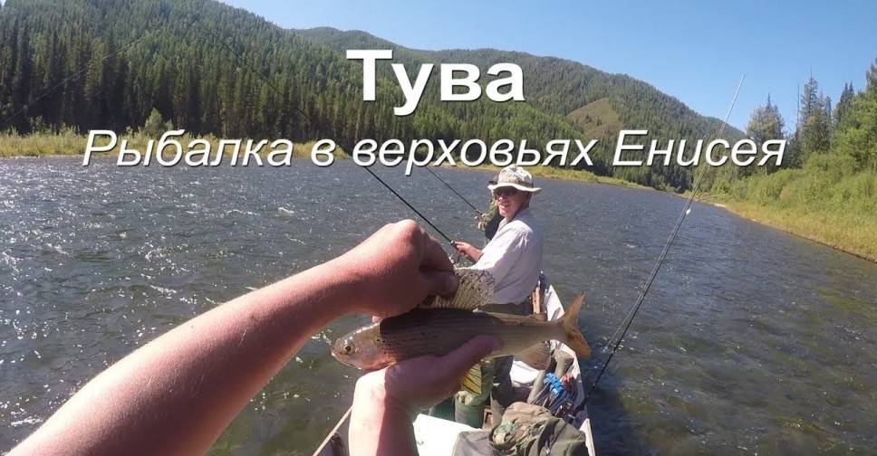 Путин на рыбалке в туве поймал 21-килограммовую щуку » тува-онлайн
