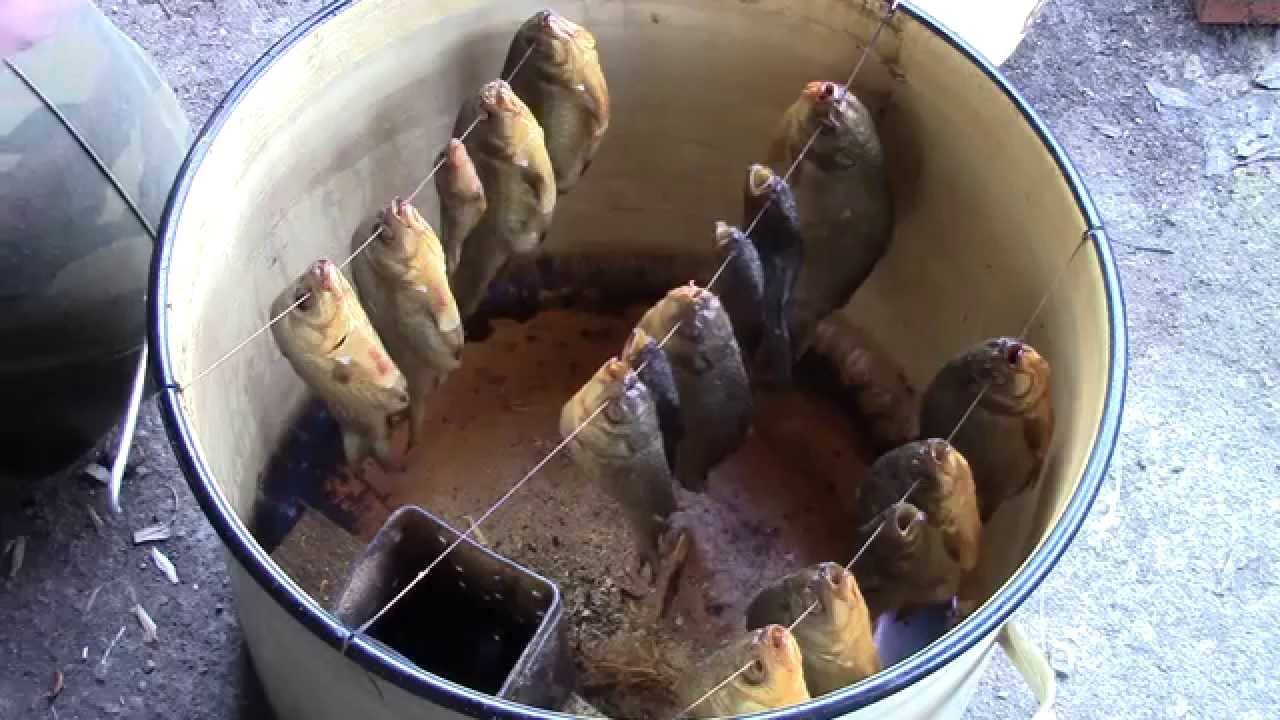 Как коптить рыбу в коптильне холодного копчения: технология приготовления