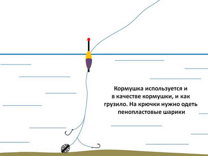 Ловля карпа на поплавочную удочку летом :: syl.ru