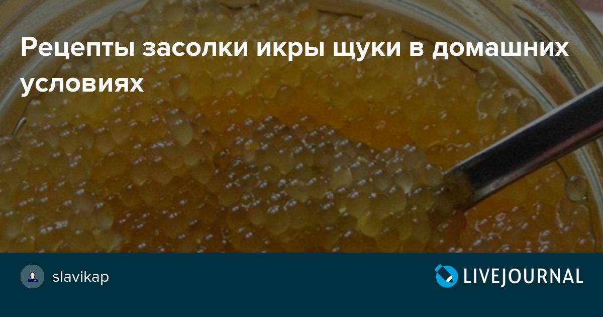 Как засолить икру рецепт с фото. Щучья икра домашнего посола. Солим щучью икру. Рецепт засолки икры. Рецепт засолки икры щуки.