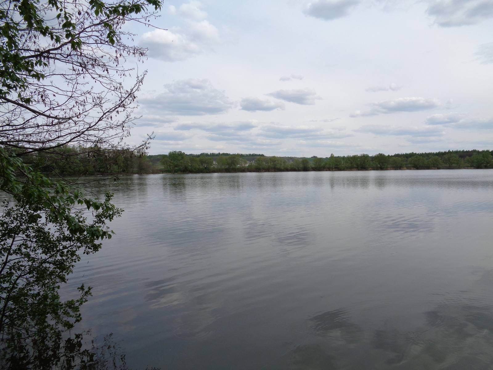 Рыбалка черкасское белгородская. Кузькино рыбалка Белгородская. Рыбалка в Кузькино Белгородская область. Пруд Кузькино Белгородская область. Кузькино Белгородская область Чернянский.