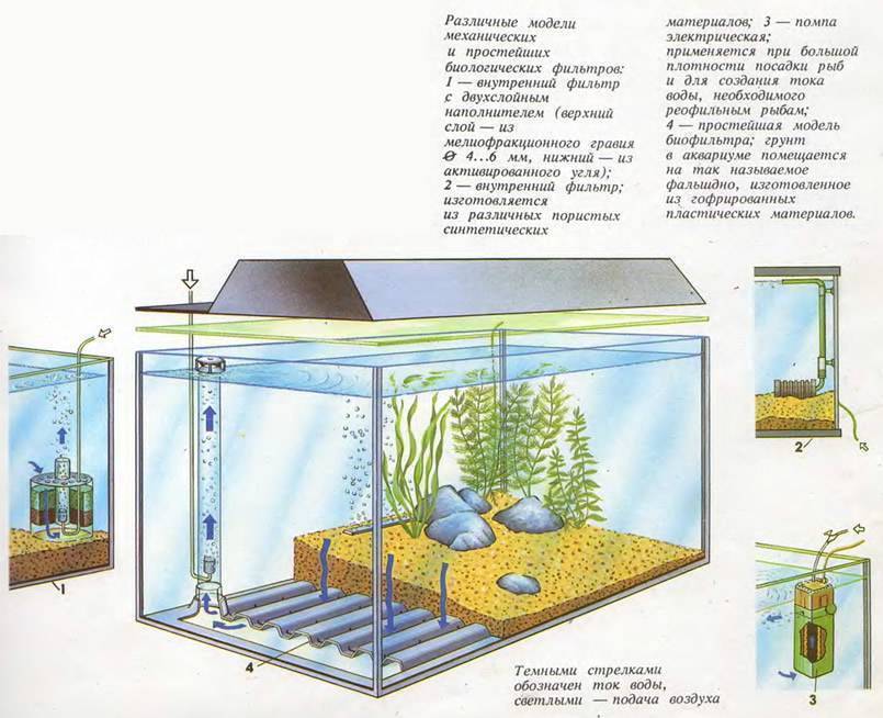 Внешний фильтр для аквариума своими руками. как собрать фильтр для аквариума :: syl.ru