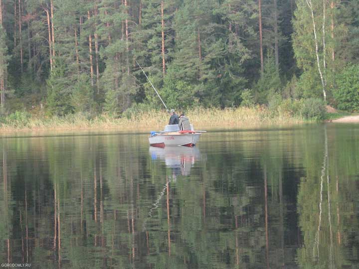 какая рыба водится на селигере в июле 2021. Смотреть фото какая рыба водится на селигере в июле 2021. Смотреть картинку какая рыба водится на селигере в июле 2021. Картинка про какая рыба водится на селигере в июле 2021. Фото какая рыба водится на селигере в июле 2021