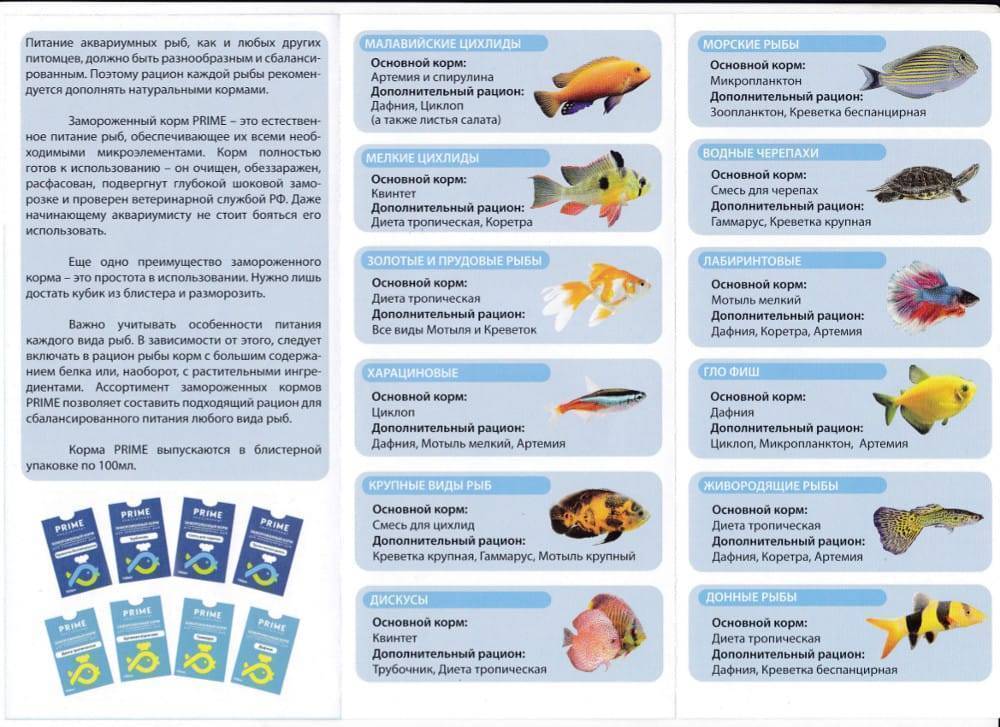 Сборник рецептов самых эффективных прикормок и привад для любого вида рыбы