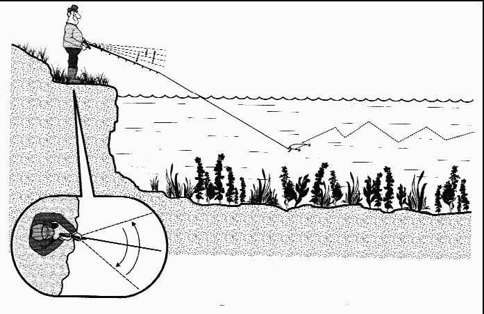 Ловля на воблер для начинающих: техника, способы проводки воблеров, джиговых и попперов