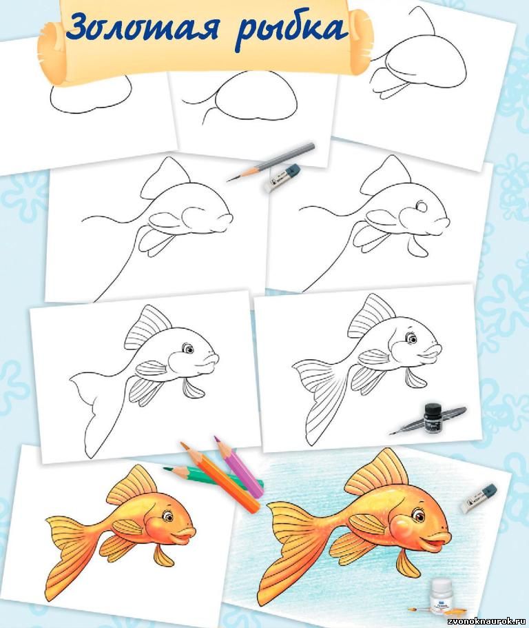 Как нарисовать рыбку поэтапно карандашом: легкие и красивые рисунки для детей и начинающих художников