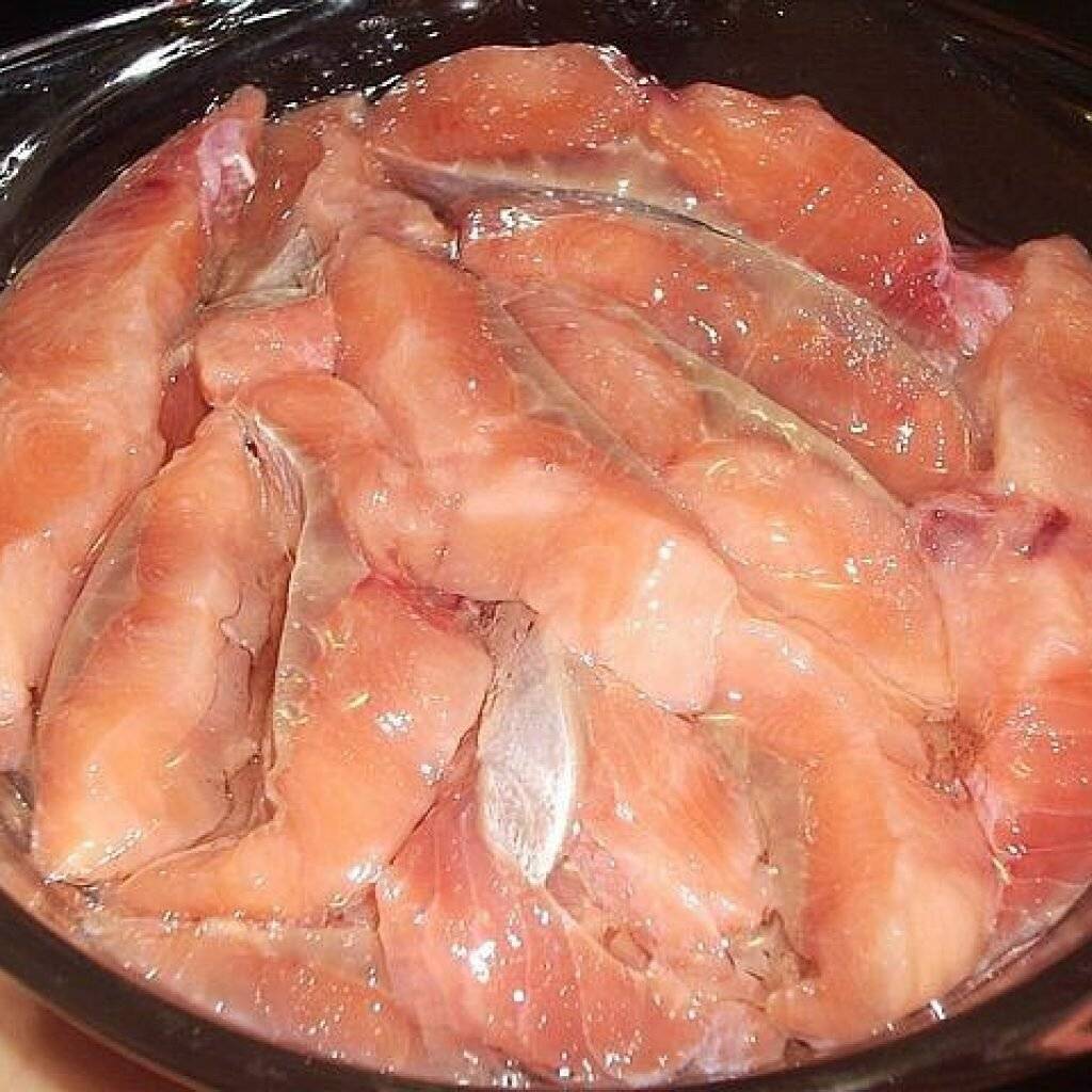 Рецепты засолки лосося в домашних условиях