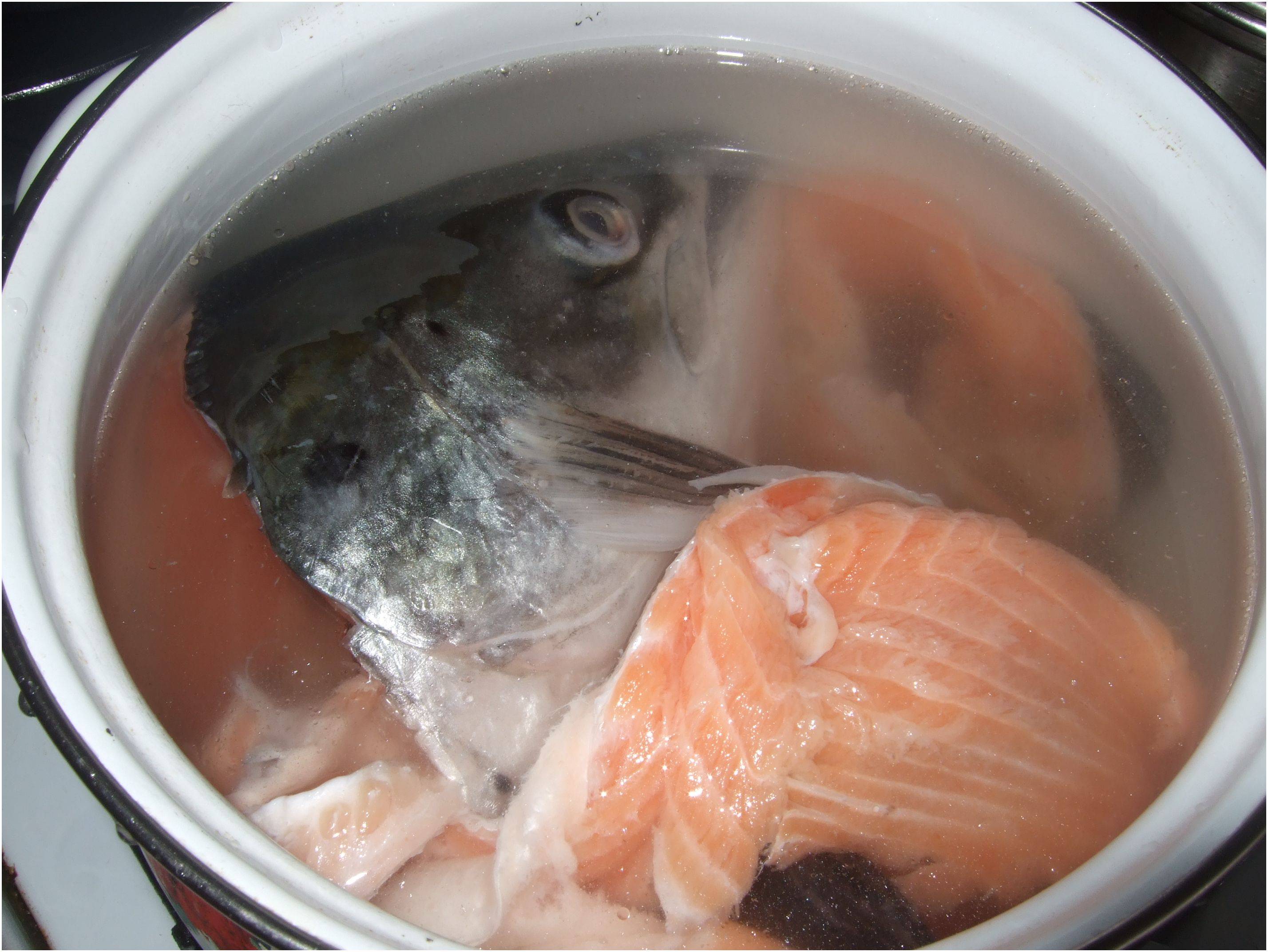 Уха из головы сёмги: польза и вред рыбного бульона, суп из хвоста