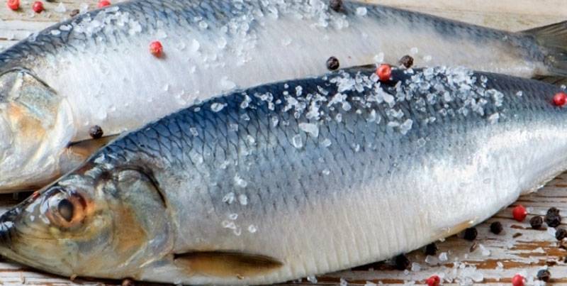 Вымачивание соленой рыбы в домашних условиях: способы и советы