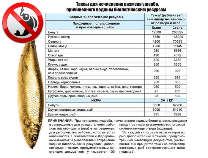 Картинка продам окуня по себестоимости