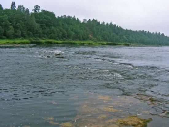 какая рыба водится в реке северная двина и ее притоках. Смотреть фото какая рыба водится в реке северная двина и ее притоках. Смотреть картинку какая рыба водится в реке северная двина и ее притоках. Картинка про какая рыба водится в реке северная двина и ее притоках. Фото какая рыба водится в реке северная двина и ее притоках