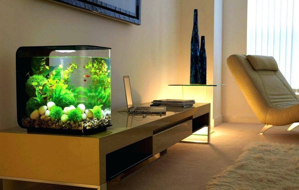 Нано аквариум или все о кубиках: запуск, оформление, выбор рыбок и растений, фото-видео обзор