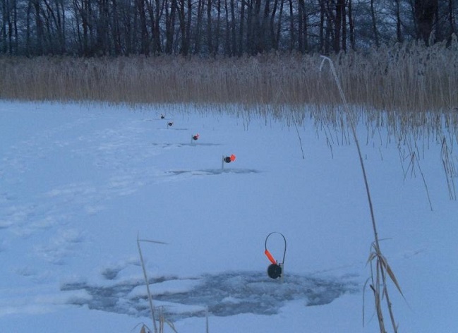 Ловля щуки на жерлицы зимой, как оснастить зимнюю жерлицу