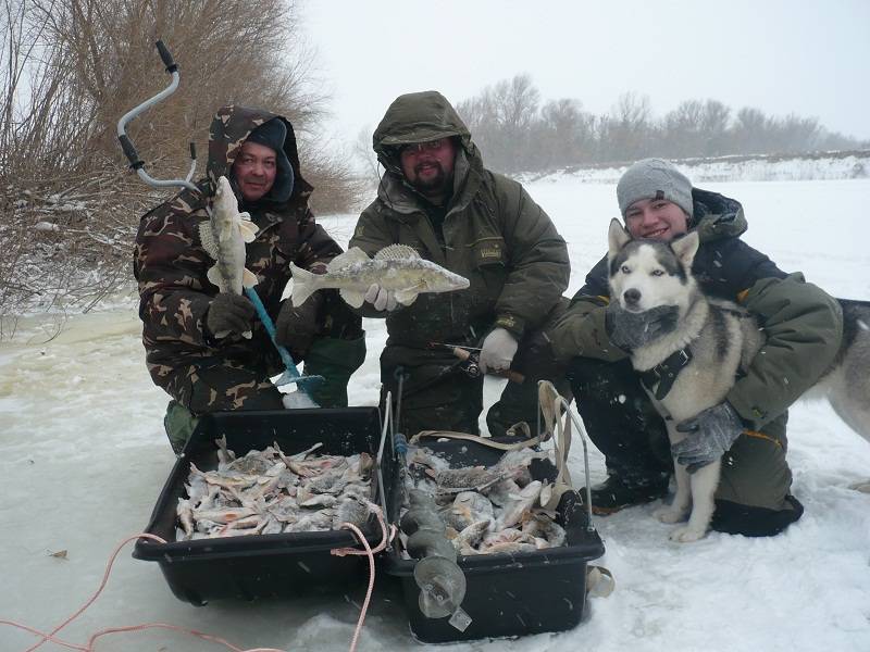 Зимняя рыбалка в Астрахани: особенности, лучшие места и отзывы
